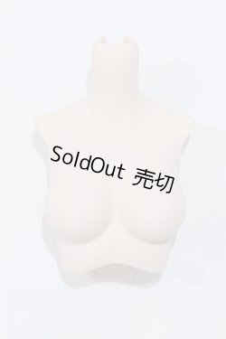 画像1: DD/上半身パーツ S-25-12-21-013-SK-ZS