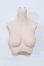 画像1: DD/上半身パーツ S-25-12-21-013-SK-ZS (1)