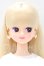 画像1: リカちゃんキャッスル/ジュディ 2022年11月月間ドール S-26-04-19-064-YB-ZS (1)