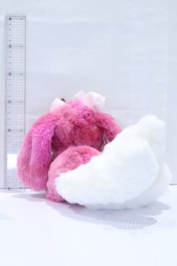 画像5: トトリュ/ブルーベリー S-26-02-01-012-YB-ZS