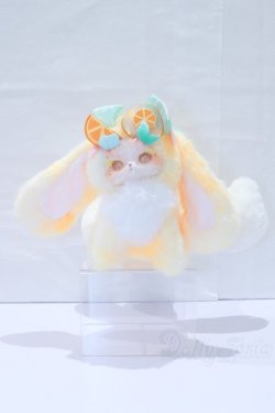 画像4: トトリュ/オレンジ S-26-02-01-011-YB-ZS