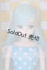 リカちゃん/2022年 小野町ふるさと納税 返礼品 Aタイプ S-26-03-08-052-SK-ZS