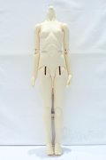 SD13/女の子ボディ S-25-11-30-019-SK-ZS
