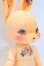 画像3: cocoriang/DOLK×COCORIANG Tobi Dearman cookies S-26-06-28-020-YB-ZS (3)