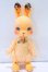 画像4: cocoriang/DOLK×COCORIANG Tobi Dearman cookies S-26-06-28-020-YB-ZS (4)