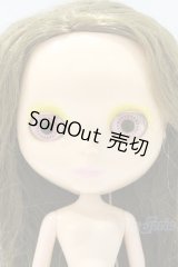 ネオブライス/本体のみ S-25-12-14-026-YB-ZS