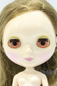 ネオブライス/本体のみ S-25-12-14-025-YB-ZS