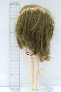 画像6: ネオブライス/本体のみ S-25-12-14-025-YB-ZS