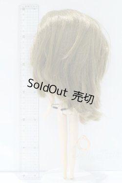 画像6: ネオブライス/本体のみ S-25-12-14-025-YB-ZS