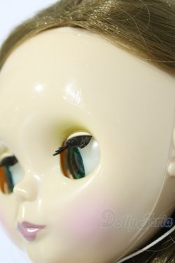 画像7: ネオブライス/本体のみ S-25-12-14-025-YB-ZS