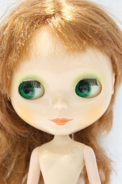 画像4: ネオブライス/本体のみ S-25-12-14-023-YB-ZS