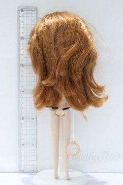 画像6: ネオブライス/本体のみ S-25-12-14-023-YB-ZS