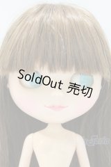 ネオブライス/本体のみ S-25-12-14-021-YB-ZS