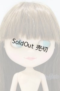 ネオブライス/本体のみ S-25-12-14-021-YB-ZS