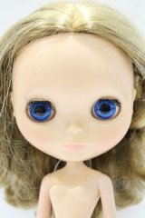 ネオブライス/本体のみ S-25-12-14-019-YB-ZS