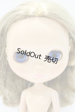 画像1: ネオブライス/本体のみ S-26-02-15-393-YB-ZS