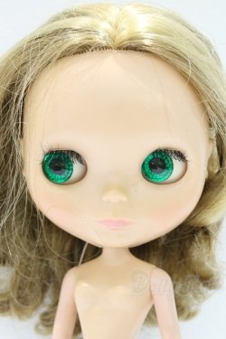 画像2: ネオブライス/本体のみ S-25-12-14-019-YB-ZS