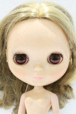 画像3: ネオブライス/本体のみ S-25-12-14-019-YB-ZS