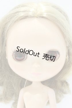 画像3: ネオブライス/本体のみ S-26-02-15-393-YB-ZS