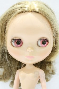 画像4: ネオブライス/本体のみ S-25-12-14-019-YB-ZS