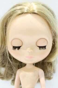 画像5: ネオブライス/本体のみ S-25-12-14-019-YB-ZS