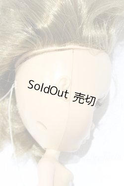 画像8: ネオブライス/本体のみ S-26-02-15-393-YB-ZS