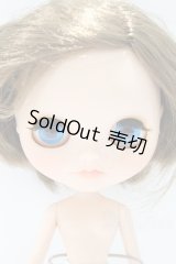 ネオブライス/本体のみ S-25-12-14-016-YB-ZS