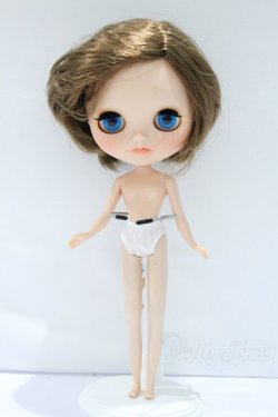 画像6: ネオブライス/本体のみ S-25-12-14-016-YB-ZS