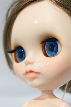 画像8: ネオブライス/本体のみ S-25-12-14-016-YB-ZS