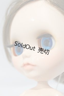 画像8: ネオブライス/本体のみ S-25-12-14-016-YB-ZS