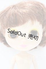 ネオブライス/本体のみ S-25-12-14-024-YB-ZS