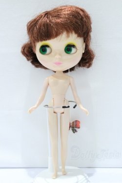 画像5: ネオブライス/本体のみ S-25-12-14-024-YB-ZS