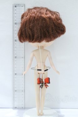 画像6: ネオブライス/本体のみ S-25-12-14-024-YB-ZS