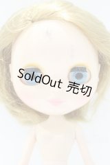 ネオブライス/本体のみ S-25-12-14-022-YB-ZS