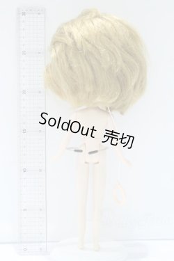 画像6: ネオブライス/本体のみ S-25-12-14-022-YB-ZS