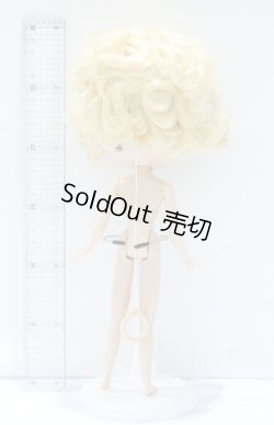 画像6: ネオブライス/本体のみ S-25-12-14-020-YB-ZS