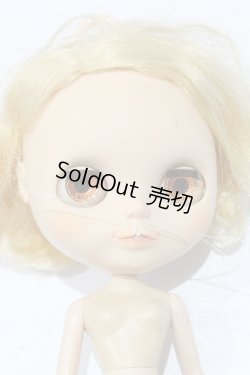 画像7: ネオブライス/本体のみ S-25-12-14-020-YB-ZS