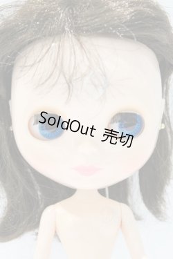 画像1: ネオブライス/本体のみ S-25-12-14-018-YB-ZS