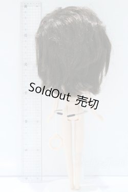 画像6: ネオブライス/本体のみ S-25-12-14-018-YB-ZS