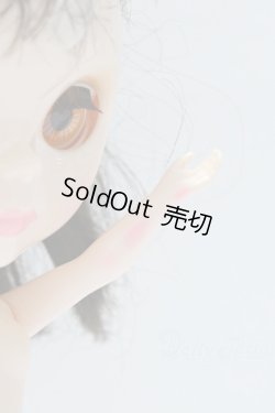 画像7: ネオブライス/本体のみ S-25-12-14-018-YB-ZS