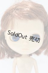 ネオブライス/本体のみ S-25-12-14-017-YB-ZS