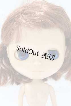 画像1: ネオブライス/本体のみ S-25-12-14-017-YB-ZS