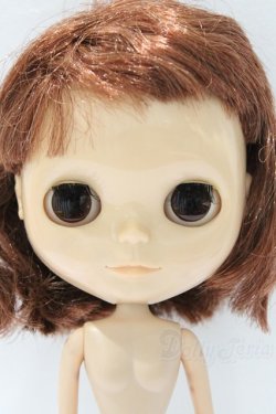 画像2: ネオブライス/本体のみ S-25-12-14-017-YB-ZS