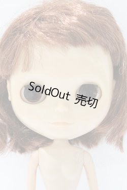 画像2: ネオブライス/本体のみ S-25-12-14-017-YB-ZS