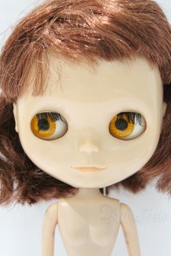 画像3: ネオブライス/本体のみ S-25-12-14-017-YB-ZS