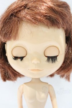 画像5: ネオブライス/本体のみ S-25-12-14-017-YB-ZS