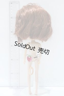 画像7: ネオブライス/本体のみ S-25-12-14-017-YB-ZS