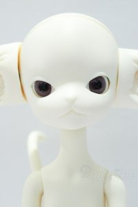 Dollzone/Miss Kitty S-25-12-14-005-SK-ZS