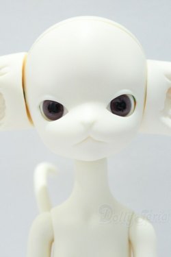 画像1: Dollzone/Miss Kitty S-25-12-14-005-SK-ZS