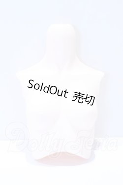 画像1: DD/DD3-B-05上半身パーツ・SS胸 S-26-06-14-006-YB-ZS